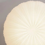 Contemporary Dome Ceiling Light With Shell-Inspired Japandi Style For Modern Interiors