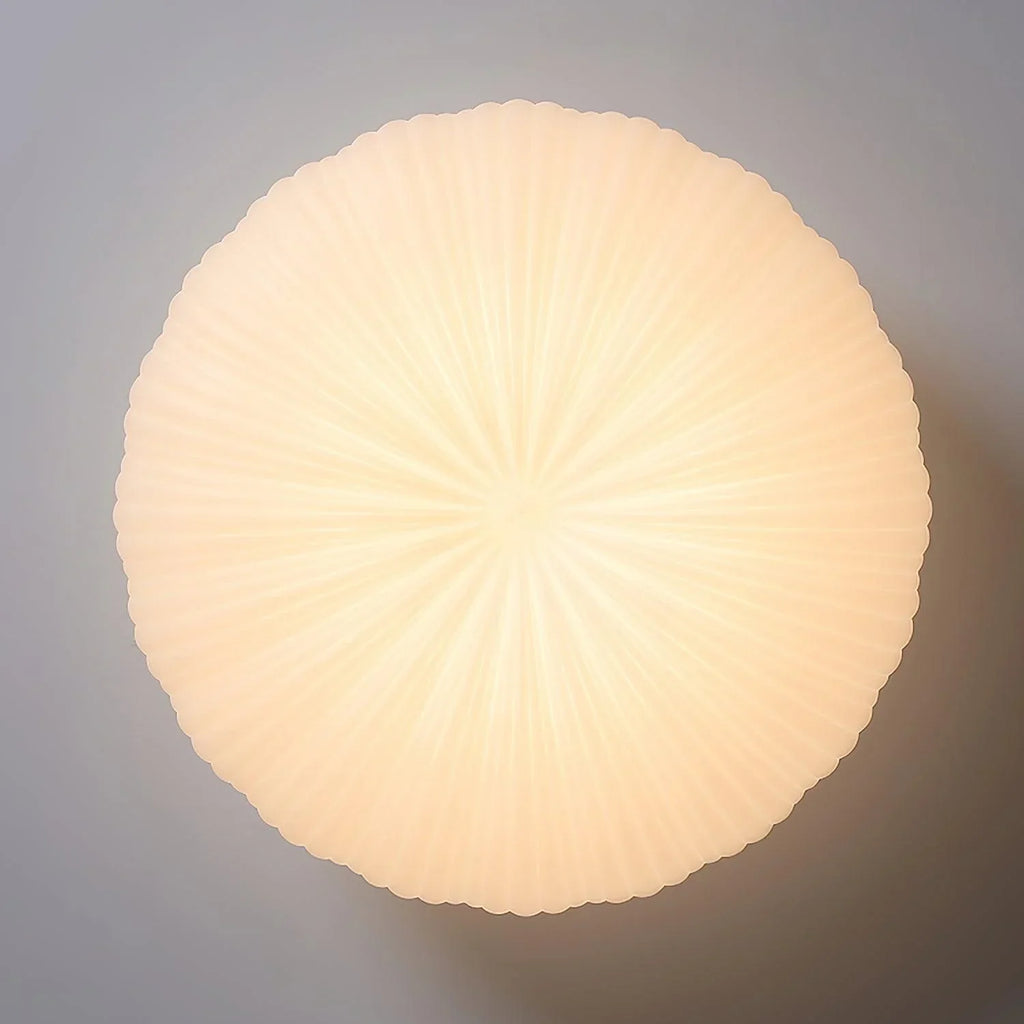 Contemporary Dome Ceiling Light With Shell-Inspired Japandi Style For Modern Interiors