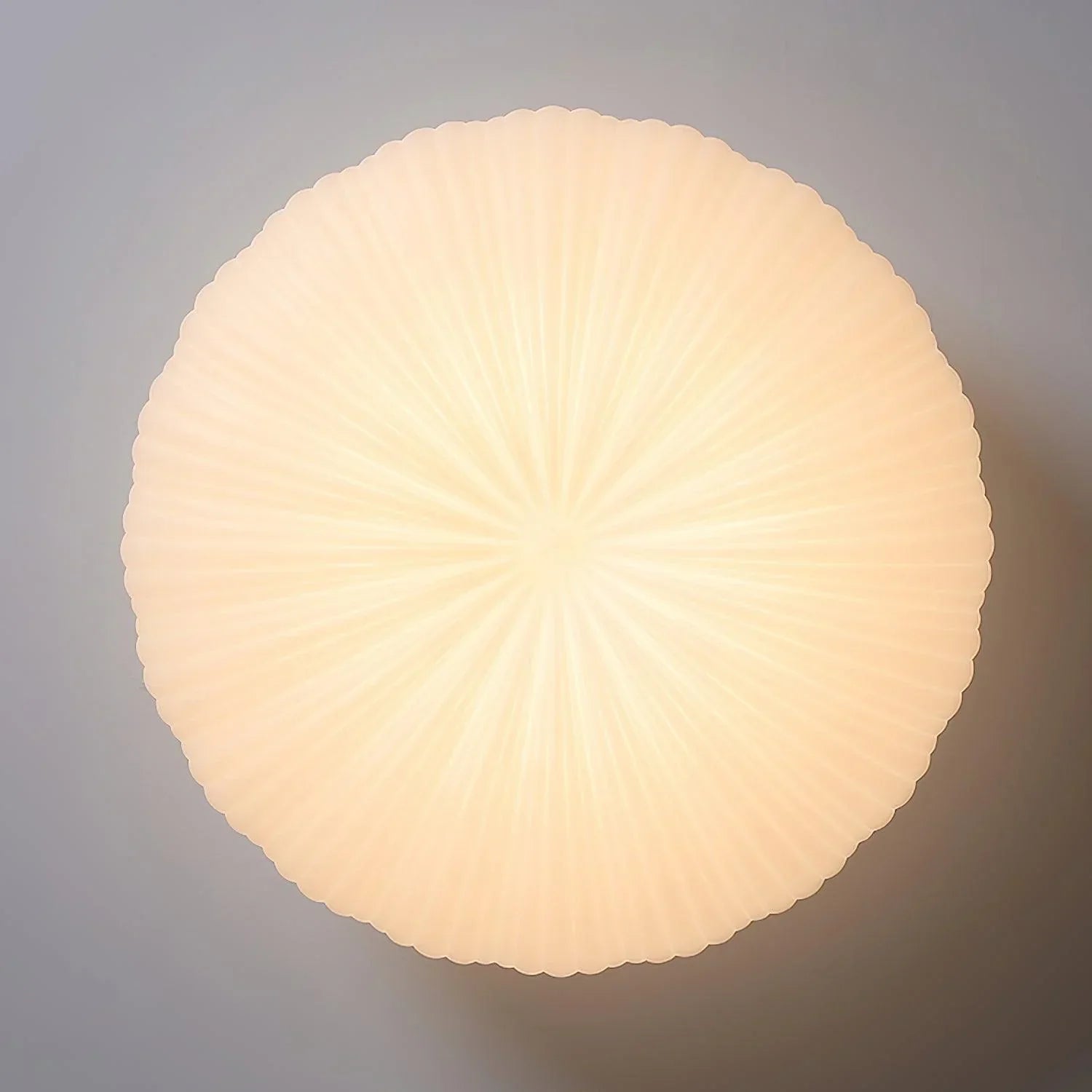 Contemporary Dome Ceiling Light With Shell-Inspired Japandi Style For Modern Interiors