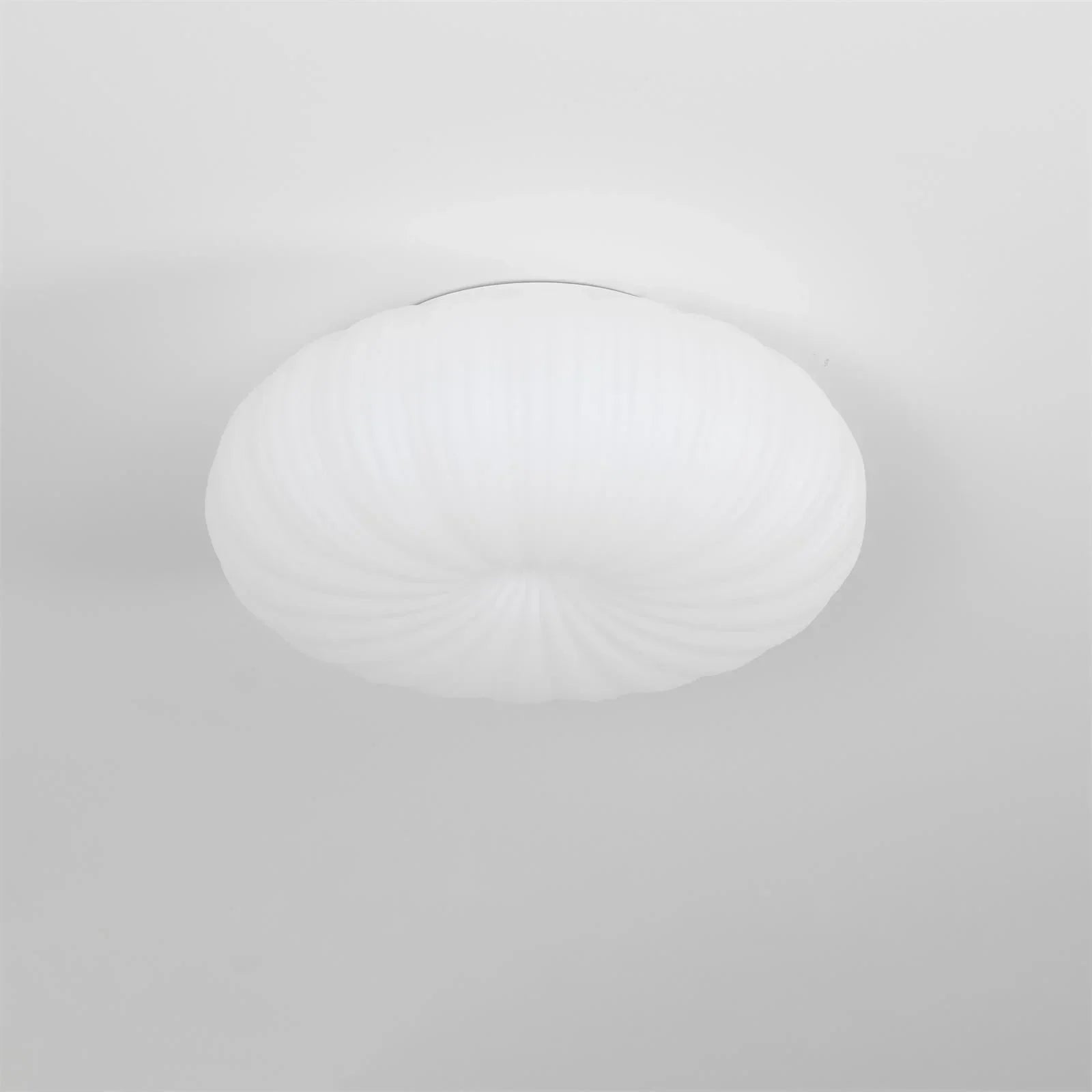 Contemporary Dome Ceiling Light With Shell-Inspired Japandi Style For Modern Interiors