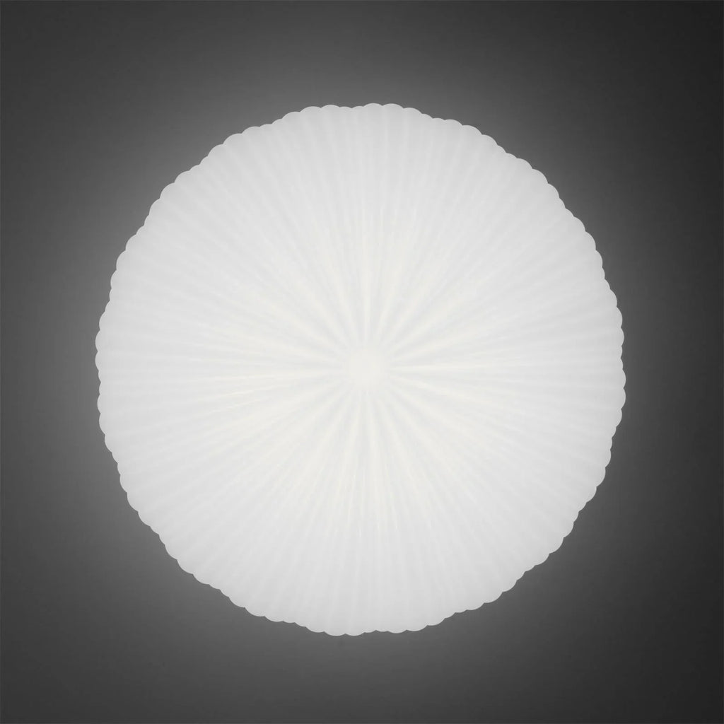 Contemporary Dome Ceiling Light With Shell-Inspired Japandi Style For Modern Interiors